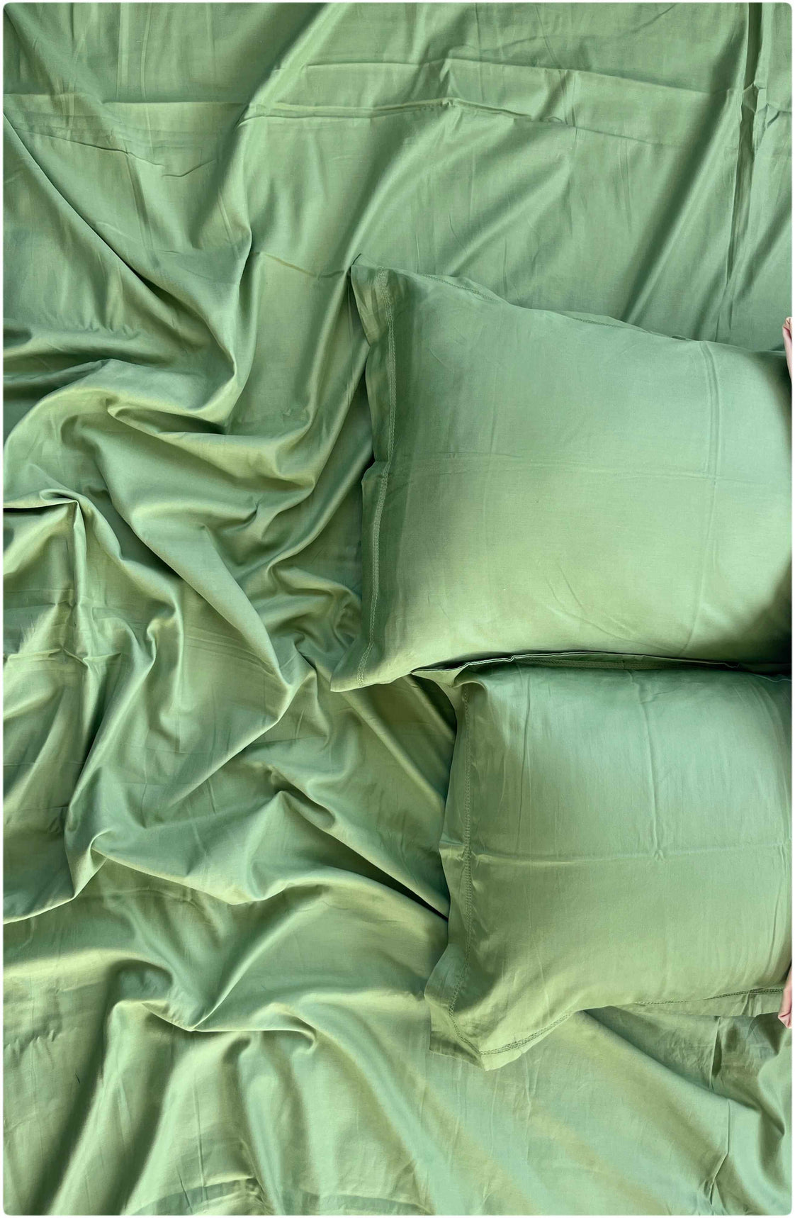 Solid Olive Green – 300 TC Premium Cotton Bed Sheet Set